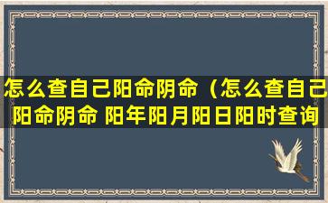 怎么查自己阳命阴命（怎么查自己阳命阴命 阳年阳月阳日阳时查询对照表）